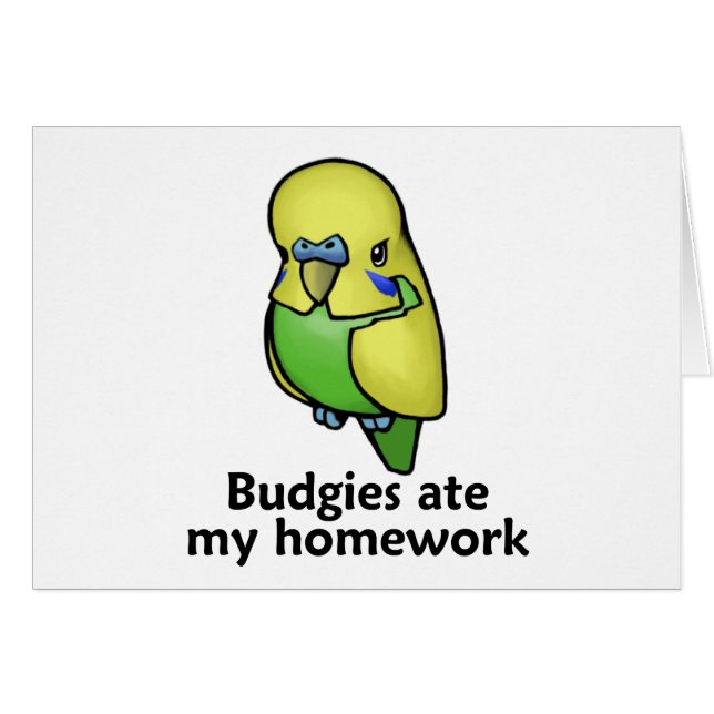 Budgies ate my homework (Front Horizontal)