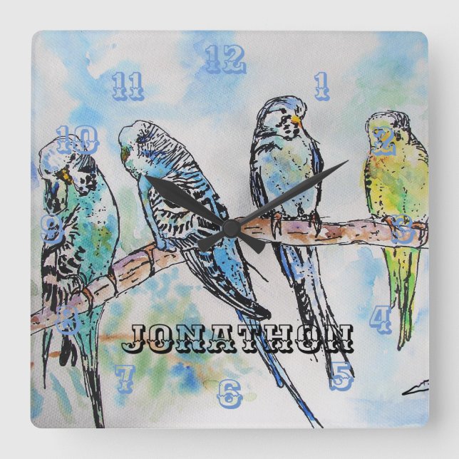Budgies Budgie Budgerigar Bird Mens Name Square Wall Clock (Front)