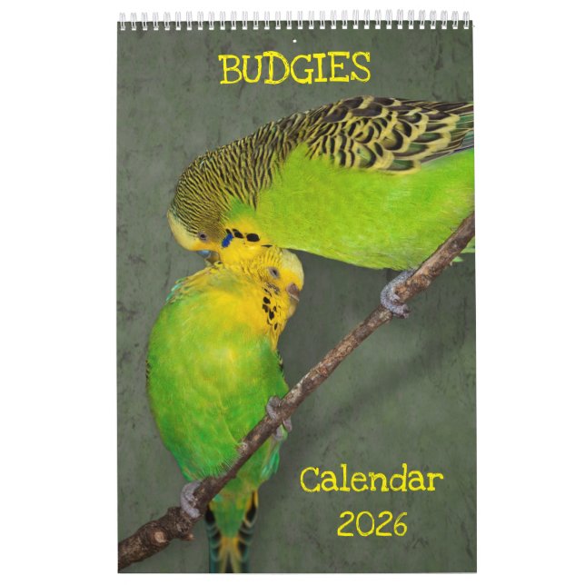 Budgies Calendar (Cover)