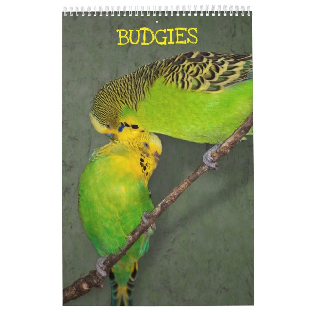 Budgies Calendar (Cover)