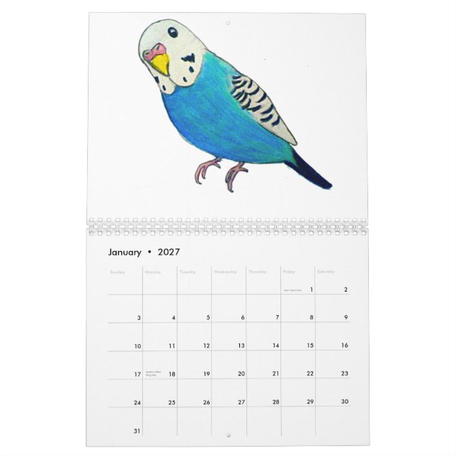 Budgies Calendars (Jan 2027)