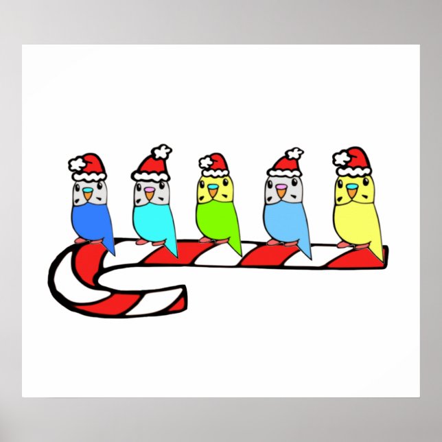 Budgies- Christmas Poster (Front)