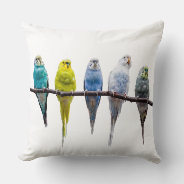 Budgies Cushion (Front)