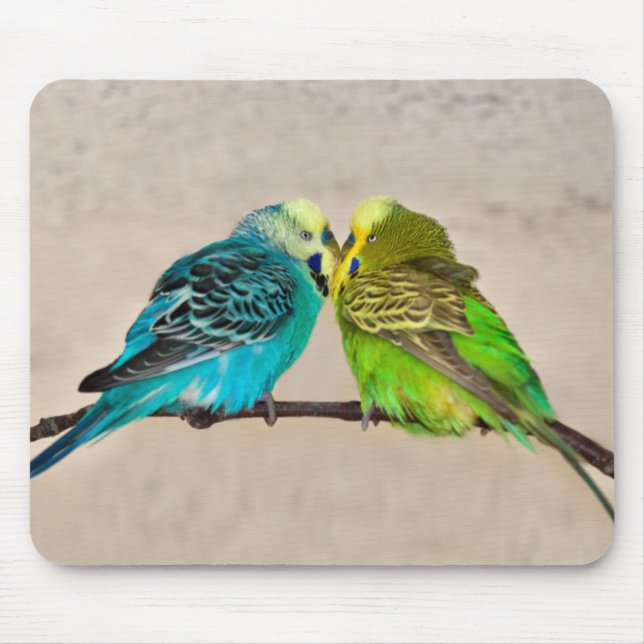 Budgies in Love Mousemat (Front)