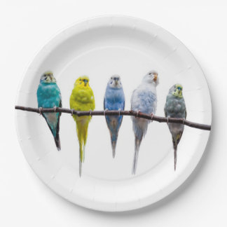 Budgies Paper Plate