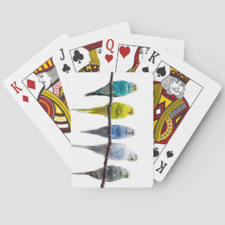 Budgies Playing Cards
