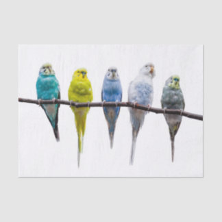 Budgies Tissue Paper
