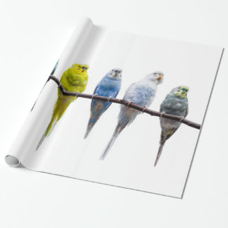 Budgies Wrapping Paper