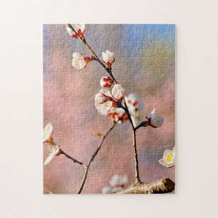Buds Of Japanese Apricot Flowers In Spring Jigsaw Puzzle