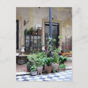 Buenos Aires Scene with Green Plants in Courtyard Postcard