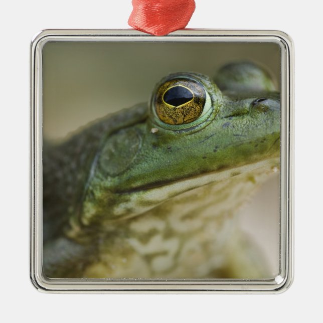 Bufallo National River, Northwest Arkansas Metal Tree Decoration (Front)