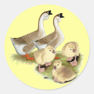 Buff African Goose Family Classic Round Sticker