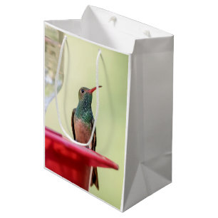 Buff-bellied hummingbird in Texas Medium Gift Bag
