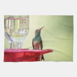 Buff-bellied hummingbird in Texas Tea Towel