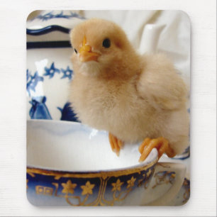 Buff Chick At Tea Mouse Mat
