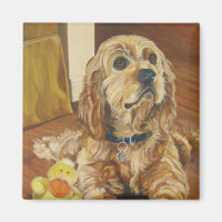 Buff Cocker Spaniel