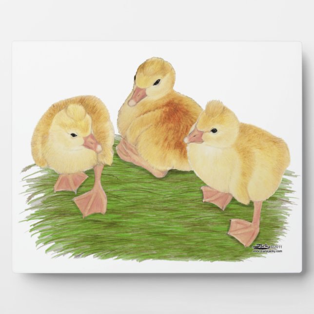 Buff Goslings Tufted Plaque (Front)