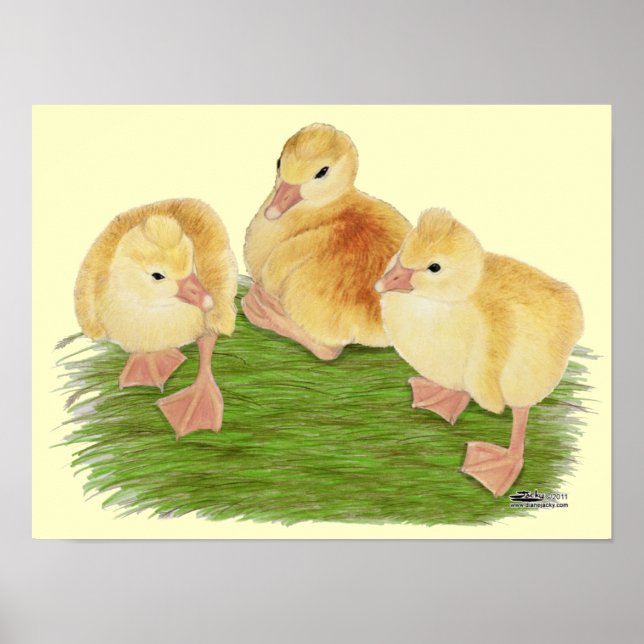 Buff Goslings Tufted Poster (Front)