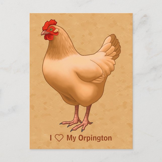Buff Orpington Chicken Hen Postcard (Front)