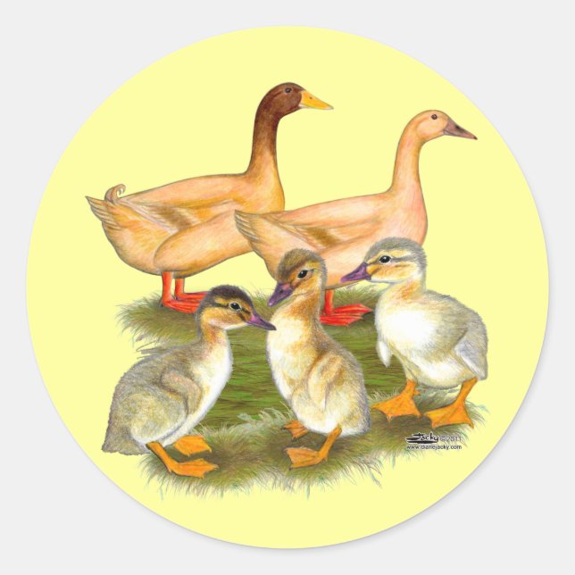 Buff Orpington Duck Family Classic Round Sticker (Front)