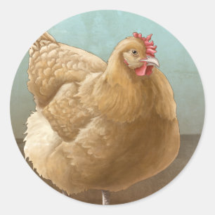 Buff Orpington Hen  Stickers