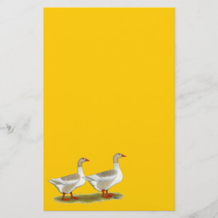 Buff Pomeranian Saddleback Geese