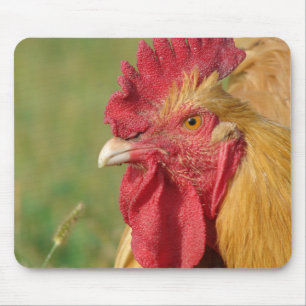 Buff Rooster Mouse Mat