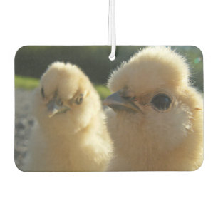 Buff Silkie Chicken Chick Car Air Freshener