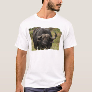 buffalo-15.jpg T-Shirt