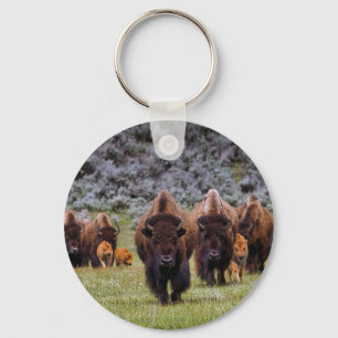 Buffalo 2 key ring