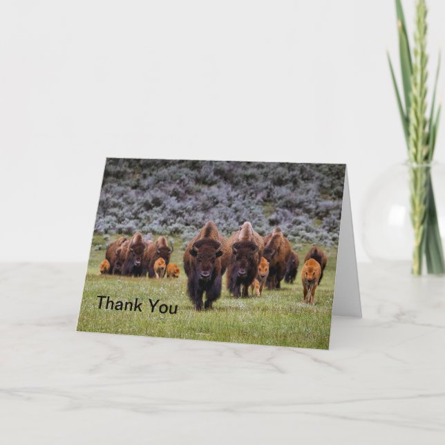 Buffalo 2 Thank You Card (Front)