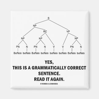 Buffalo (8 Times) Grammatically Correct Sentence Magnet