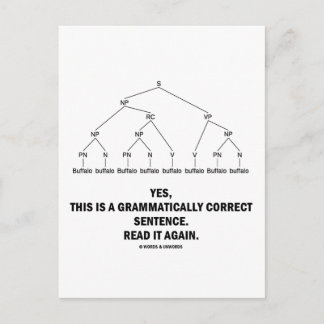Buffalo (8 Times) Grammatically Correct Sentence Postcard