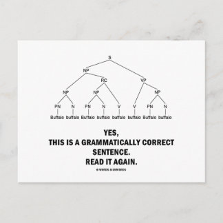 Buffalo (8 Times) Grammatically Correct Sentence Postcard