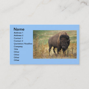 Buffalo Animal Art Indian Office Business Card