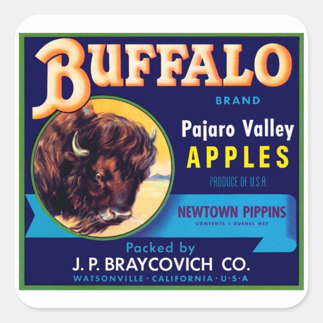 Buffalo Apples Square Sticker (Front)
