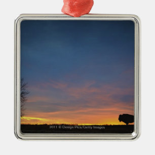 Buffalo At Sunset In Elk Island National Park Metal Tree Decoration