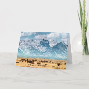 Buffalo Below the Grand Teton Mountains Card