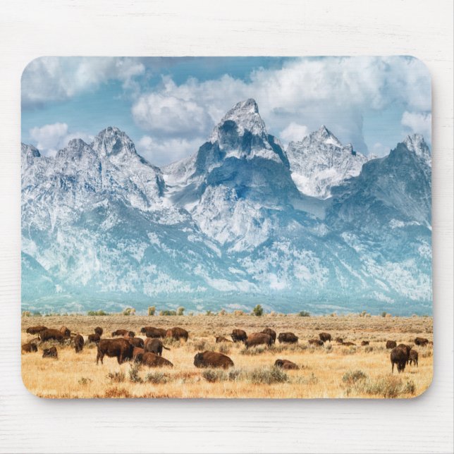 Buffalo Below the Grand Teton Mountains Mouse Mat (Front)