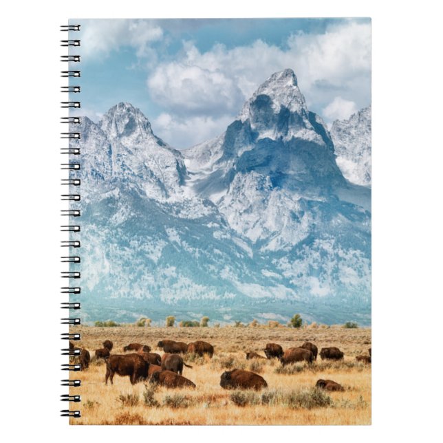 Buffalo Below the Grand Teton Mountains Notebook (Front)