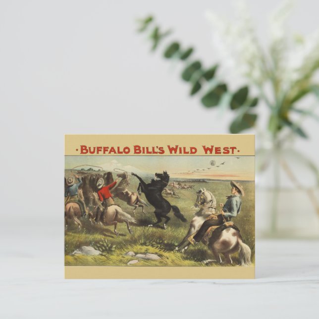 Buffalo Bill's Wild West Horses Postcard (Standing Front)