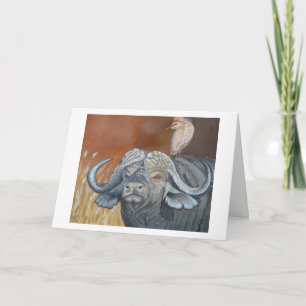 Buffalo Birthday Card