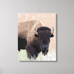 Buffalo / Bison Canvas Print