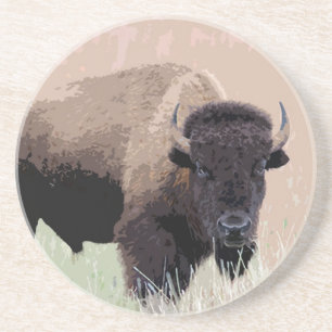 Buffalo / Bison Coaster
