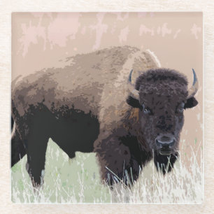 Buffalo / Bison Glass Coaster