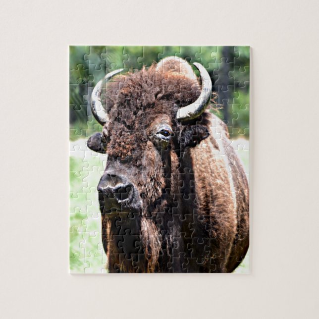 Buffalo (Bison) Jigsaw Puzzle (Vertical)