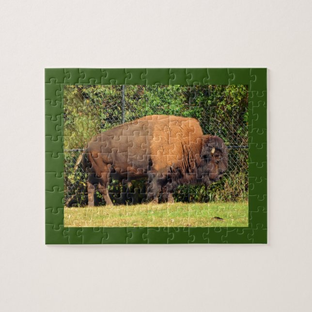 Buffalo (Bison) Kansas, Oklahoma, Wyoming Jigsaw Puzzle (Horizontal)