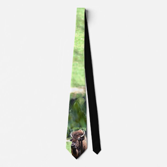 Buffalo (Bison) Kansas, Oklahoma, Wyoming Tie (Front)