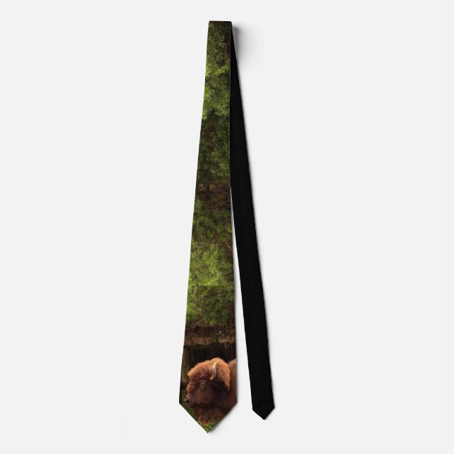 Buffalo (Bison) Kansas, Oklahoma, Wyoming Tie (Front)