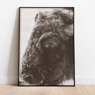 Buffalo Bison Print